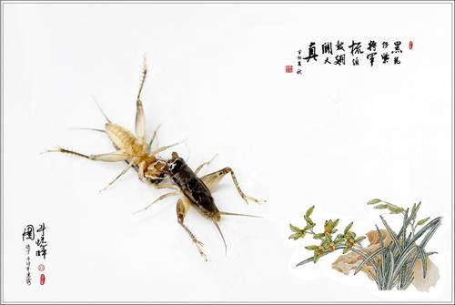 有趣的是_400字
