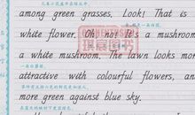 100篇中考满分作文记叙文精选（84）_900字