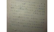 关于爱国的作文：《南京！南京！》观后感_800字