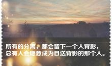 夏天的大雨_800字