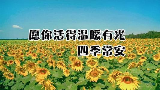 美容交付：灵魂的风景_900字