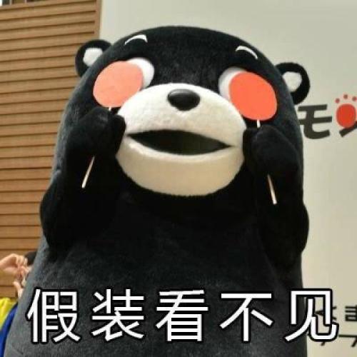 我看不到你的痛苦_350字