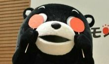 我看不清你的苦痛_350字