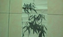 竹子里的秘密_800字