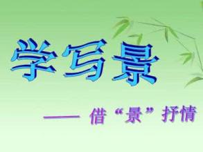 独特的美容_800字