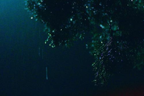 夜雨_800字