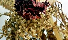 冬天来了，春天还会远吗？_650字