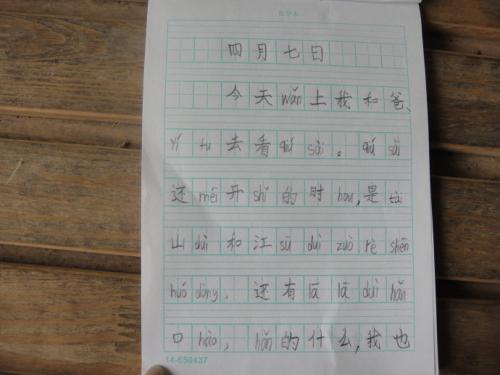 2008年，宁波市充满了作文：留在心底的风景（1）_500字