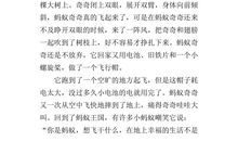 六年级变形记作文500字蚂蚁