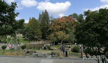 美丽的海山公园_550字