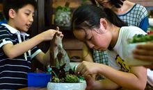 我的另一片天地_650字