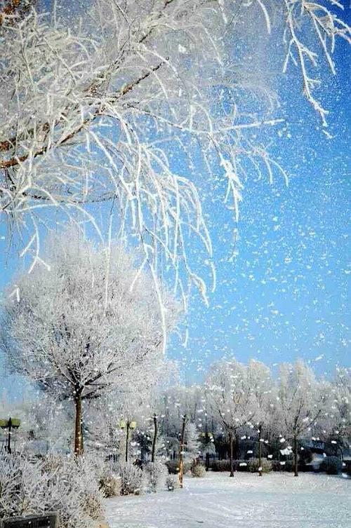 雪，_500字