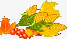 丰收的季节_250字