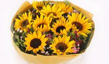 向日葵宣言_1200字