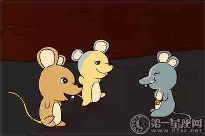 鼠标偷鸡蛋