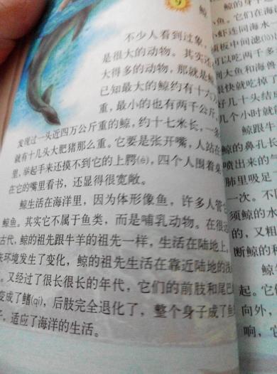 自我介绍_250字