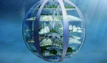 我未来的家_450字