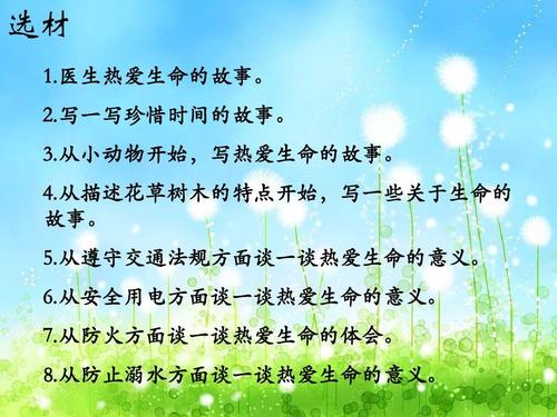 四年级的想象：写给未来_550字