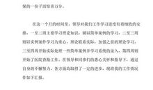 保险公司实习心得