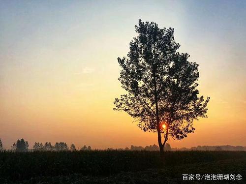 夕阳