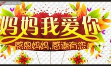 [母亲节征文]最伟大的真情_500字