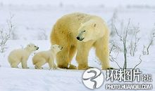 悲剧的辛酸_1000字