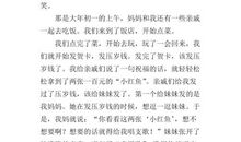 关于新年的作文：等待新年的步伐_500字