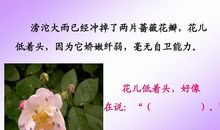 我不是最弱小的_550字