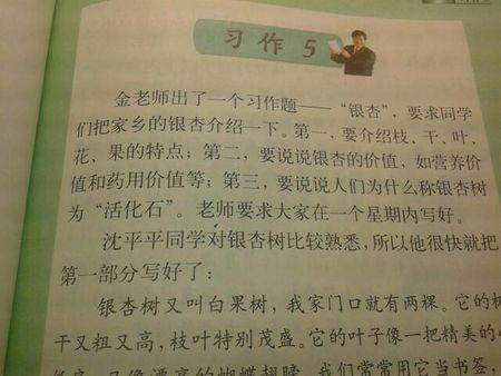 有一天看_400字
