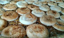 仓鼠村落半日游_1200字