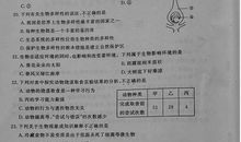 2018年山东滨州中考作文范文八：留在记忆里的芬芳（8）_800字