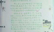 初中，初衷_650字