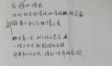 白鹭的改写成说明文