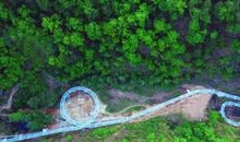 2019年湖北黄石中考满分作文：遗憾从未缺席（七）_750字