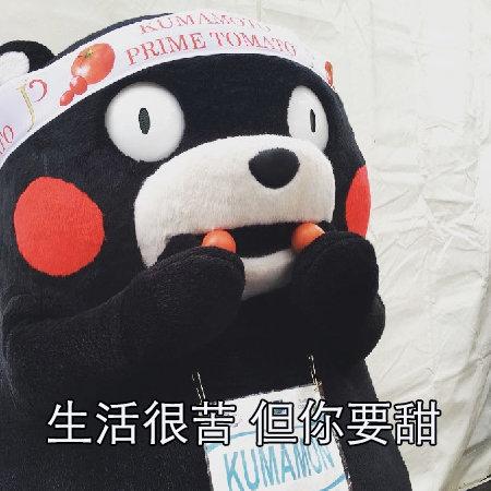 生命苦涩_500字