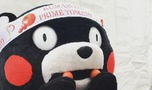 生活的苦与甜 _500字