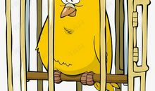 [7月渴望]我渴望自由_700字