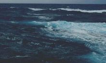 那年夏天，宁静的海_1500字