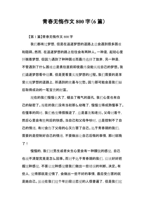 青年没有遗憾_900字