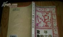 文字的一次论谈_550字