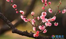 读《300篇奇幻故事》有感_600字