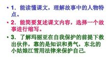 《智慧之花》缩写_100字