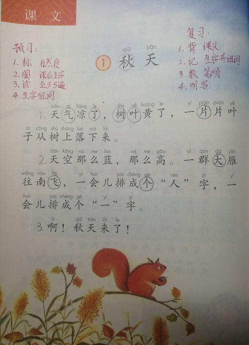 审查步骤_500字