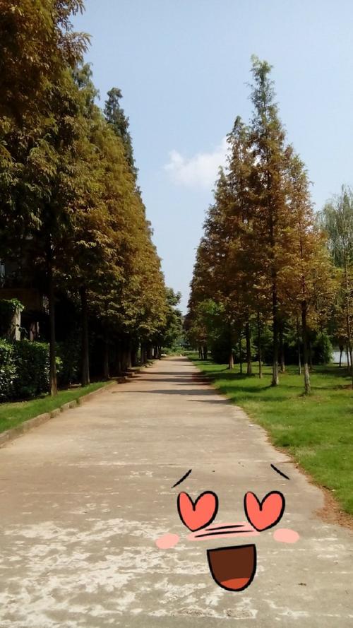 下一站，也许更好_700字