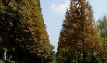 下一站，也许会更好_700字