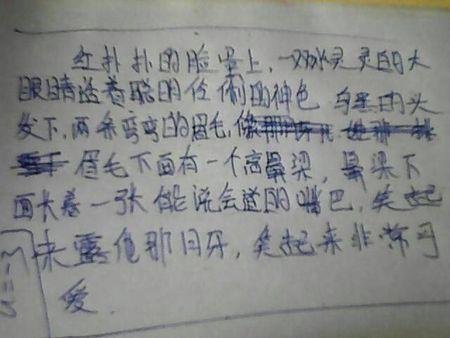 选择_350字