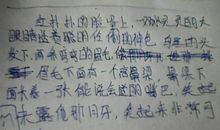选择_350字