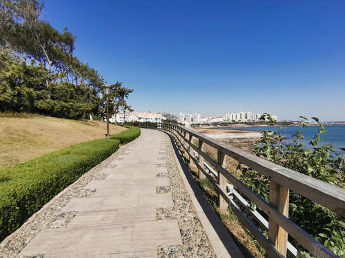 春季之旅_1500字