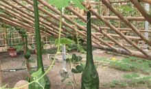 快乐的烧烤_500字