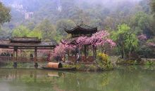 我的桃花源_650字